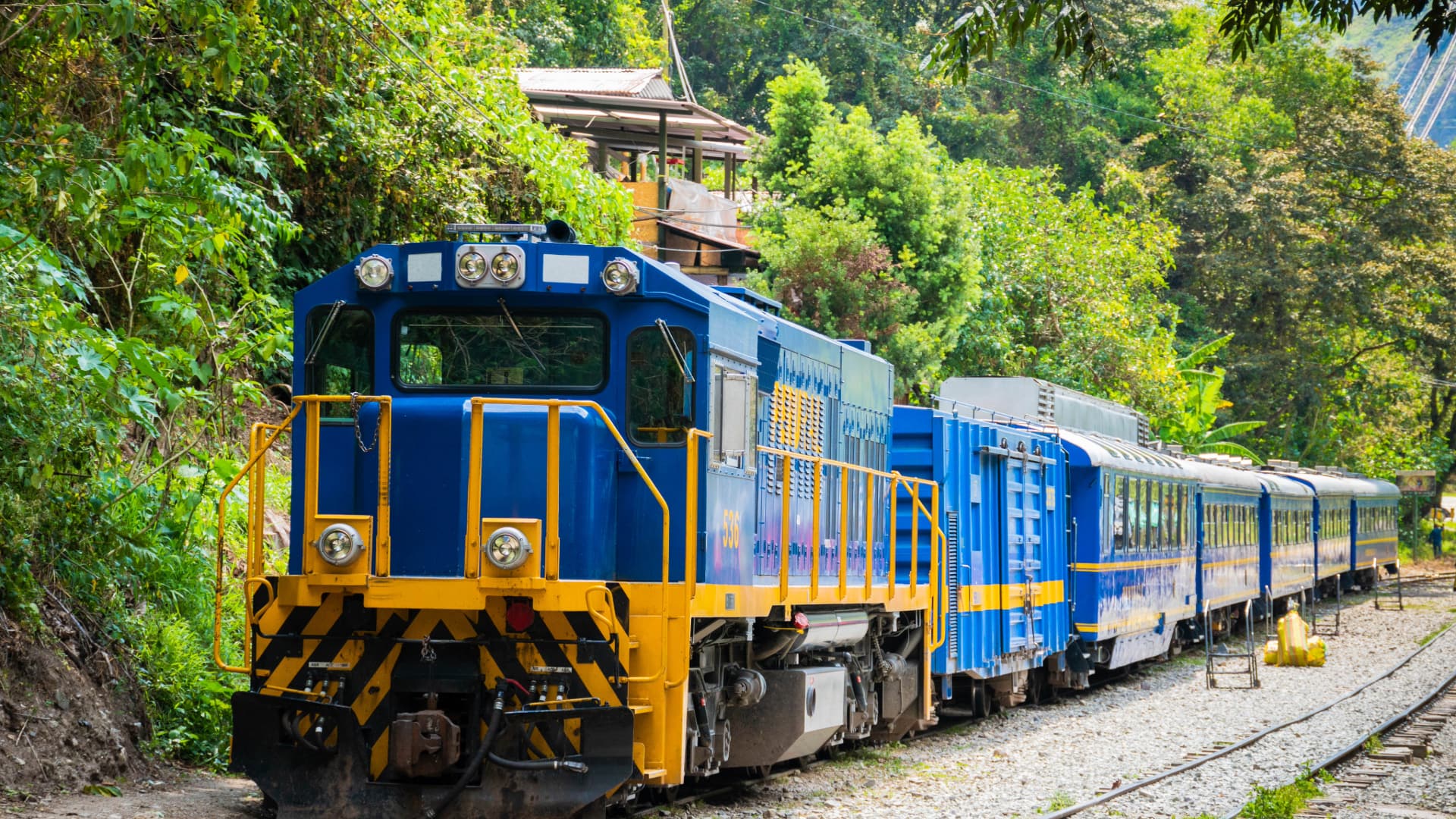 A blue and yellow train on the Machu Picchu tour by train, surrounded by the lush green cloud forest of the Peruvian Andes - Aremika Travel