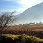 Lares Trek vs Camino Inca: ¿Cuál ruta es mejor para ti?