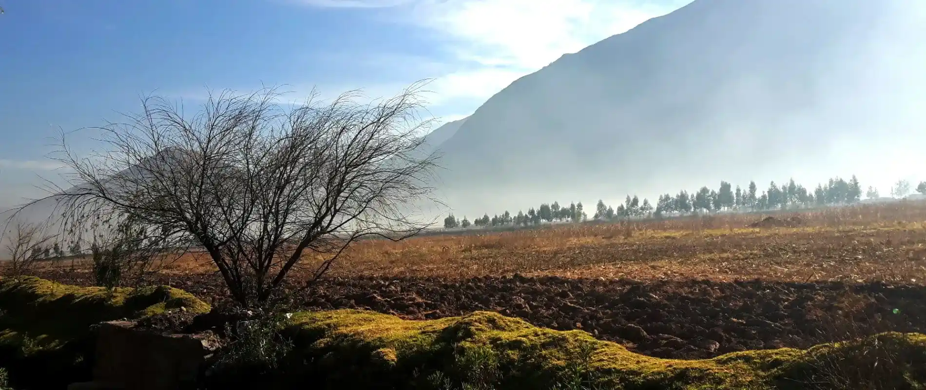 Lares Trek vs Camino Inca: ¿Cuál ruta es mejor para ti?