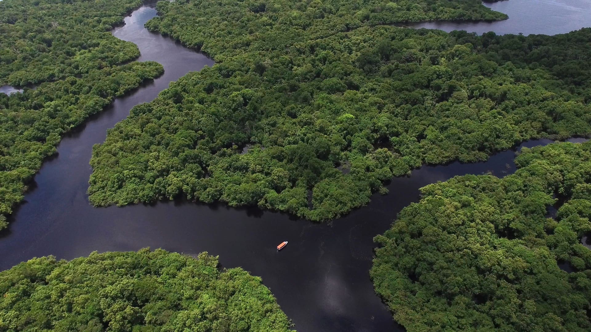 An aerial view of a boat on a winding river through the vast jungle, part of the Amazon Tour 3 Day adventure - Aremika Travel